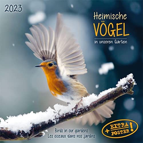 Heimische Vögel 2023: Kalender 2023 (Artwork Edition) von Tushita