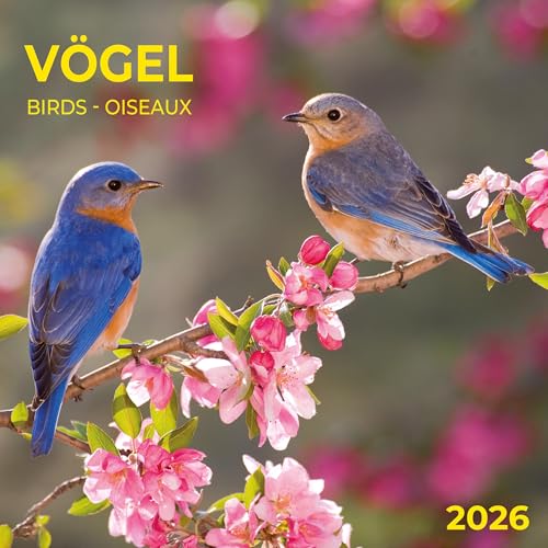 Heimische Vögel 2026: Kalender 2026 (Artwork Edition) von Tushita PaperArt