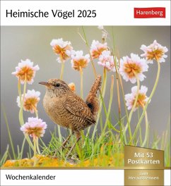 Heimische Vögel Postkartenkalender 2025 - Wochenkalender mit 53 Postkarten von Harenberg