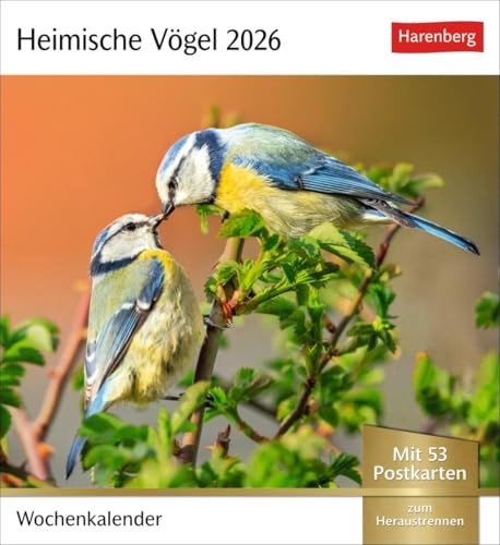 Heimische Vögel Postkartenkalender 2026 - Wochenkalender mit 53 Postkarten: Wochenkalender im Postkarten-Format mit Vogelporträts. Tischkalender mit ... neuen Postkarten zum Sammeln und Verschicken von Harenberg