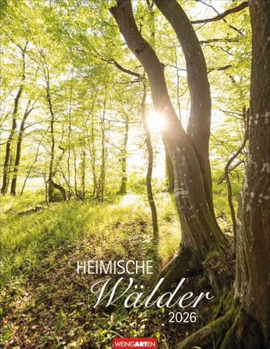 Heimische Wälder Kalender 2026: Hochwertiger Foto-Wandkalender für Naturfreunde: Eine magische Reise durch die Welt der Bäume. Stimmungsvolle Wald-Landschaften im Format 34 x 44 cm Heimische Wälder Kalender 2026: Hochwertiger Foto-Wandkalender für Naturfreunde: Eine magische Reise durch die Welt der Bäume. Stimmungsvolle Wald-Landschaften im Format 34 x 44 cm von Weingarten