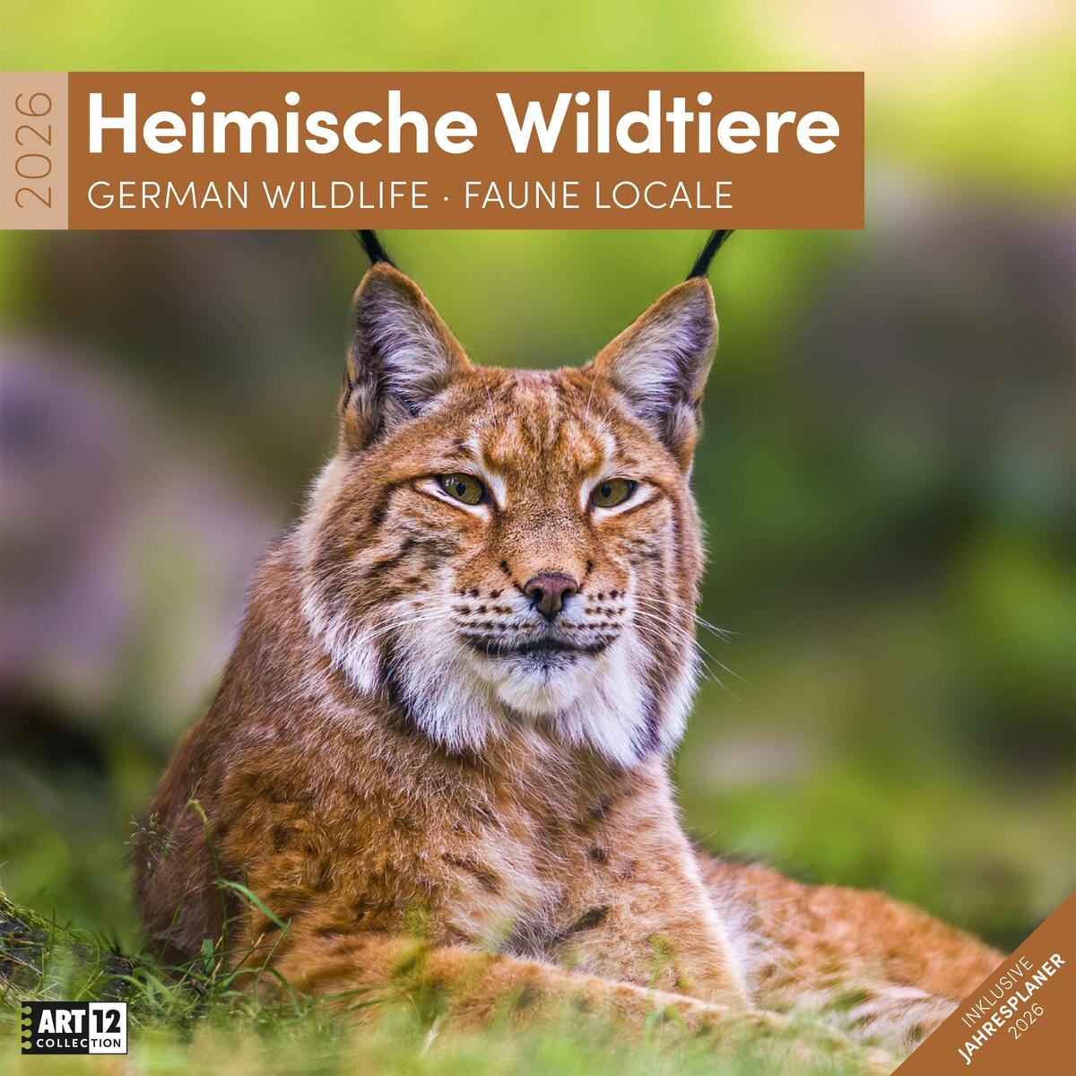 Heimische Wildtiere Broschürenkalender 2026 - 30x30 - Art12 Heimische Wildtiere Broschürenkalender 2026 - 30x30 - Art12 von Ackermann Kunstverlag