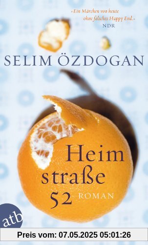 Heimstraße 52: Roman