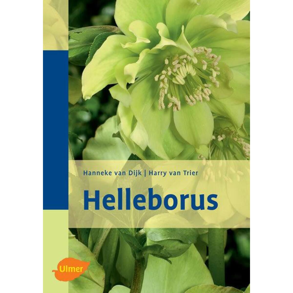 Helleborus von Ulmer Eugen Verlag