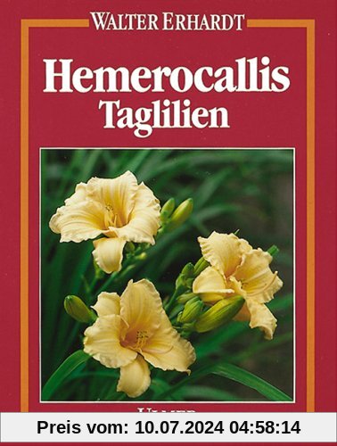 Hemerocallis. Taglilien
