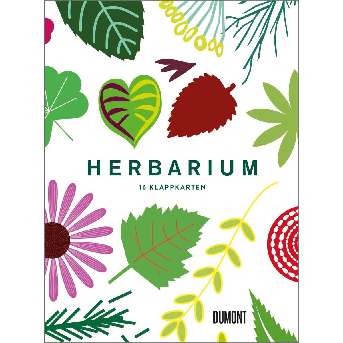 Herbarium Postkartenbox von DuMont Buchverlag GmbH