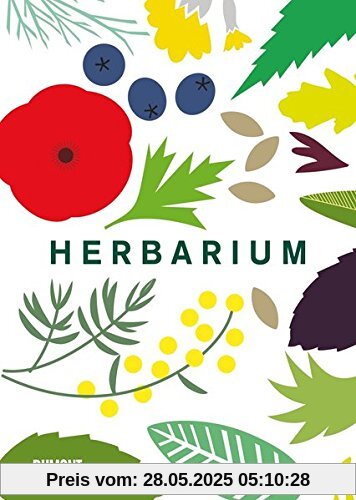 Herbarium: 100 Kräuter - Geschichte, Wirkung, Verwendung