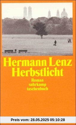 Herbstlicht: Roman (suhrkamp taschenbuch)