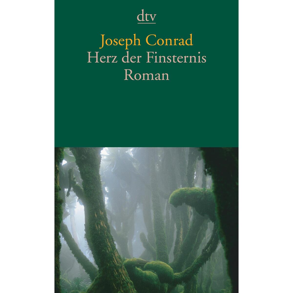 Herz der Finsternis von dtv Verlagsgesellschaft