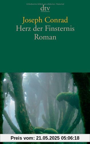 Herz der Finsternis: Roman