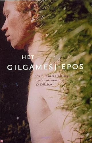Het Gilgamesj-epos (Ambo-klassiek) von Ambo