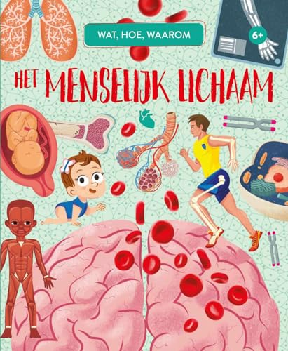 Het menselijk lichaam: Met poster 50 x 70 cm (Wat, hoe, waarom?) von Rebo Publishers