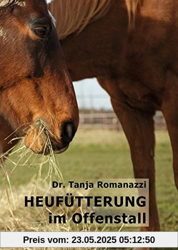 Heufütterung im Offenstall