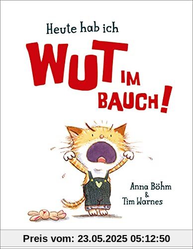 Heute hab ich Wut im Bauch!: Bilderbuch