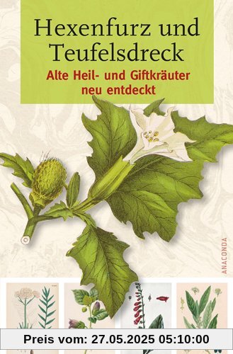 Hexenfurz und Teufelsdreck - Alte Heil- und Giftkräuter neu entdeckt