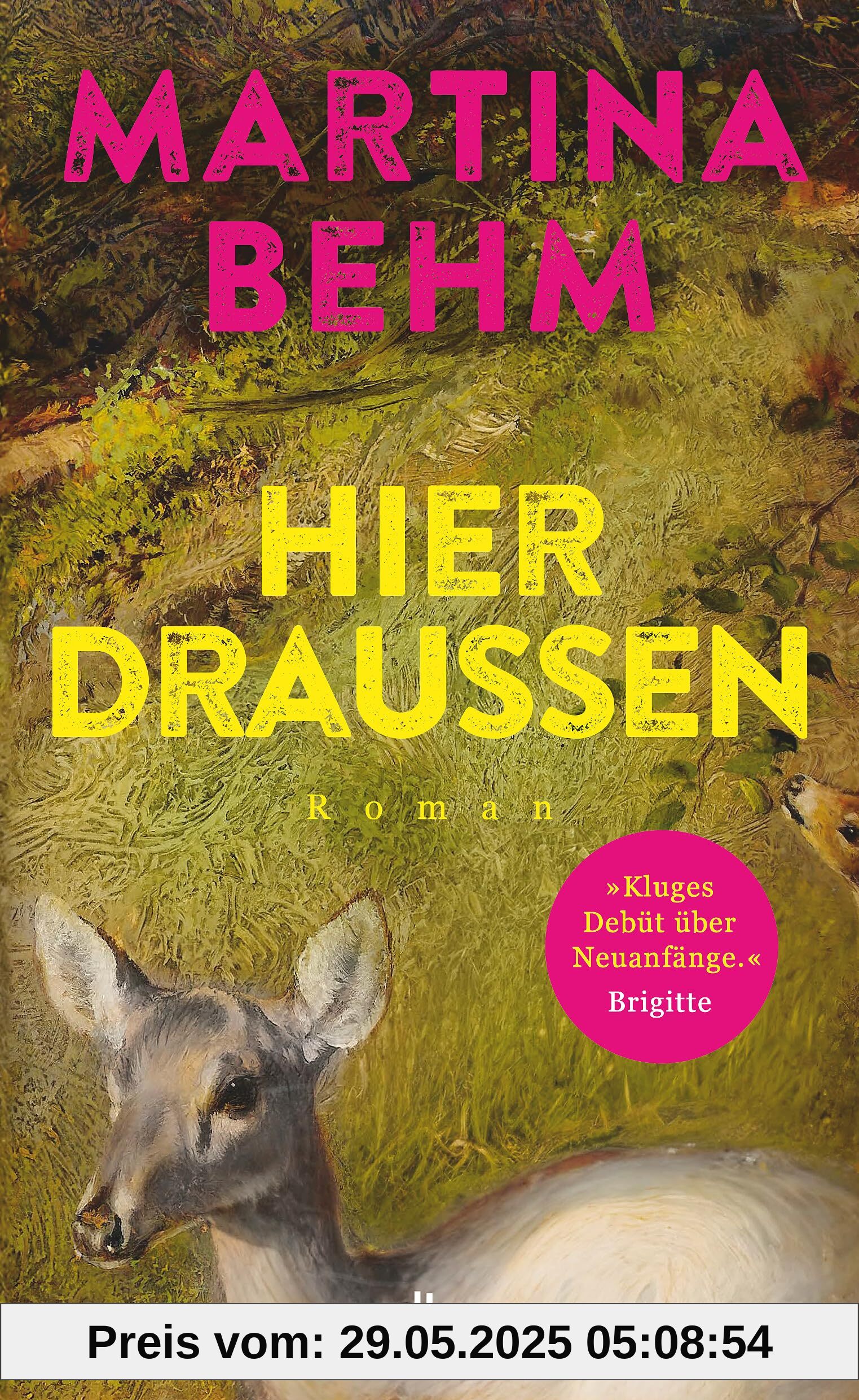 Hier draußen: Roman | 'Ein tolles und kluges Debüt.' Angela Wittmann, Brigitte Hier draußen: Roman | 'Ein tolles und kluges Debüt.' Angela Wittmann, Brigitte