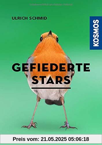 Hier piept´s! - Gefiederte Stars und ihre Songs
