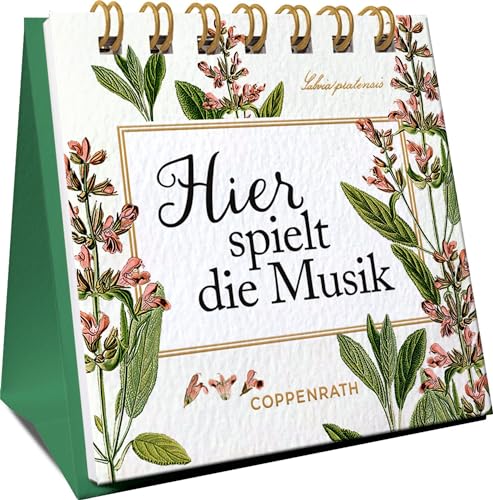 Hier spielt die Musik (Mini-Spiralaufsteller)