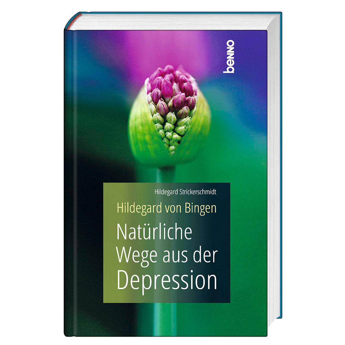 Hildegard von Bingen - Natürliche Wege aus der Depression von St. Benno Verlag