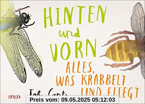 Hinten und vorn - Alles, was krabbelt und fliegt