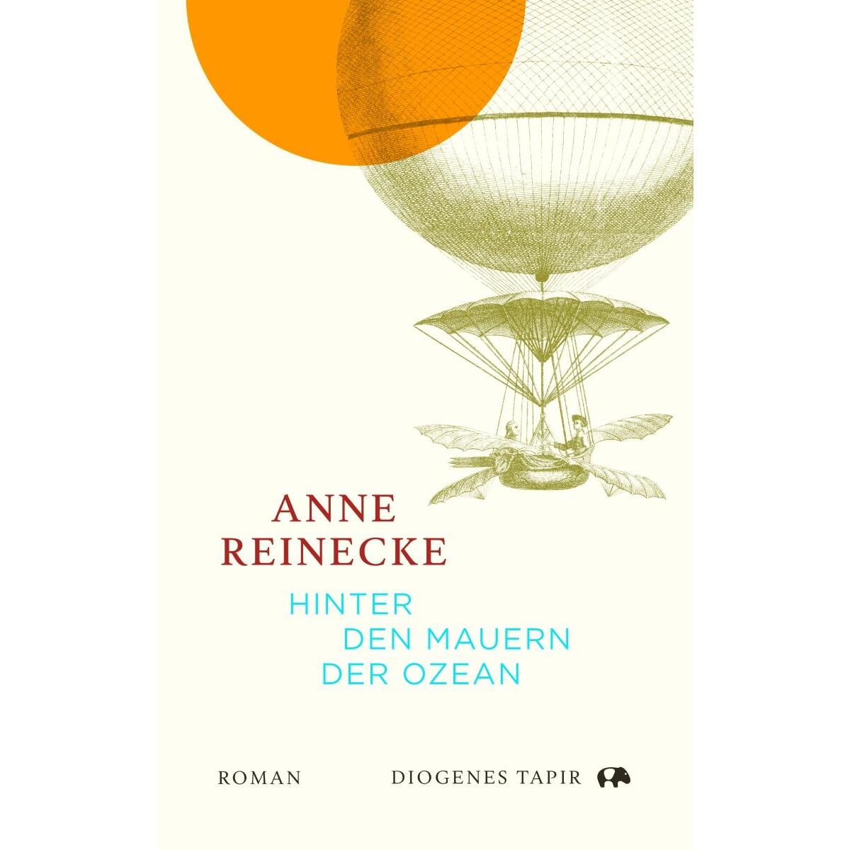 Hinter den Mauern der Ozean von Diogenes Verlag AG
