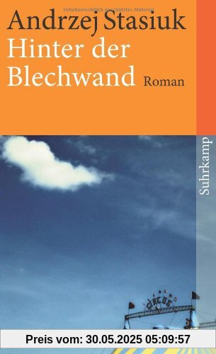 Hinter der Blechwand: Roman