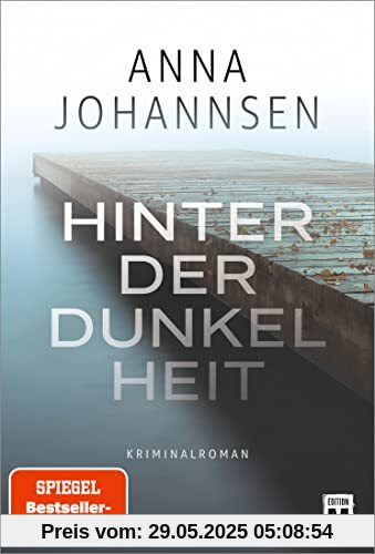 Hinter der Dunkelheit (Ein Fall für Hanna Will & Jan de Bruyn, Band 1)