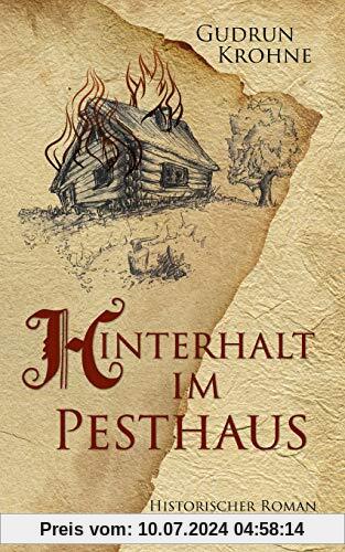 Hinterhalt im Pesthaus: Historischer Roman (Begine Hildegard)