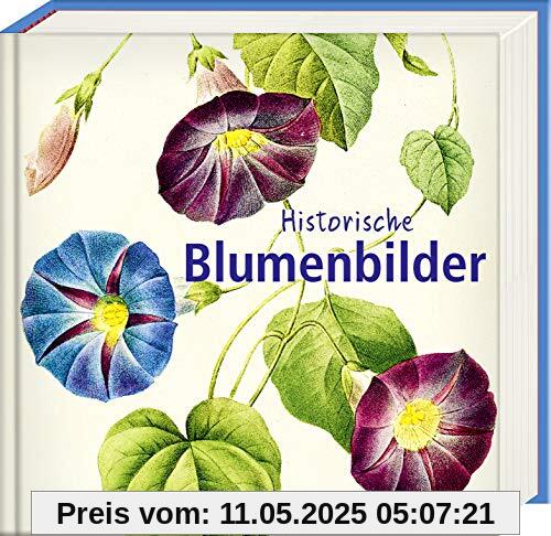 Historische Blumenbilder: Book To Go - Der Bildband für die Hosentasche