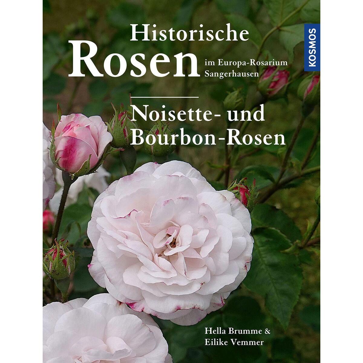 Historische Rosen im Europa Rosarium Sangerhausen: Noisette- und Bourbon-Rosen von Franckh-Kosmos