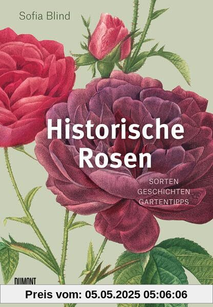 Historische Rosen: Sorten – Geschichten – Gartentipps