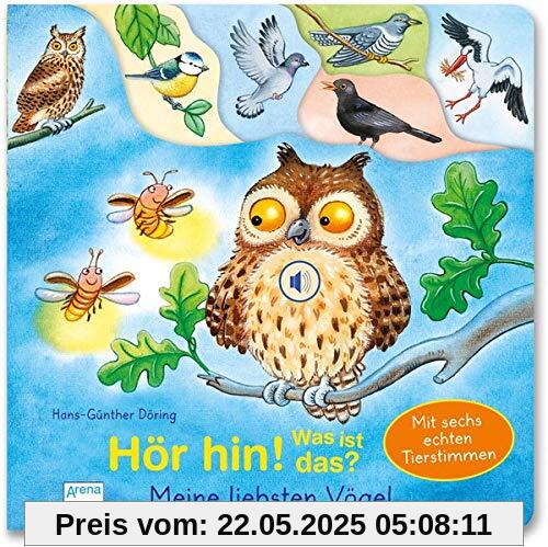 Hör hin! Was ist das? Meine liebsten Vögel