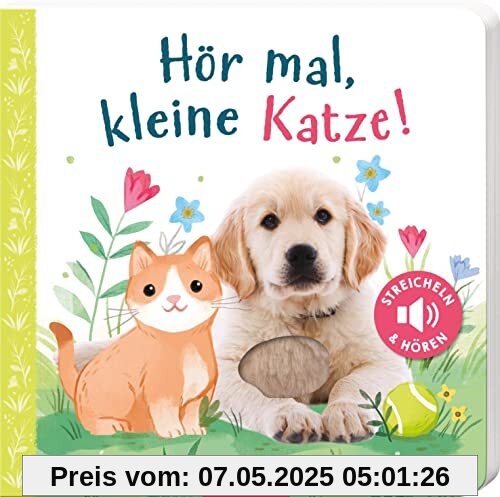 Hör mal, kleine Katze!: Hochwertiges Pappbilderbuch mit 5 Sounds und Fühlelementen für Kinder ab 18 Monaten