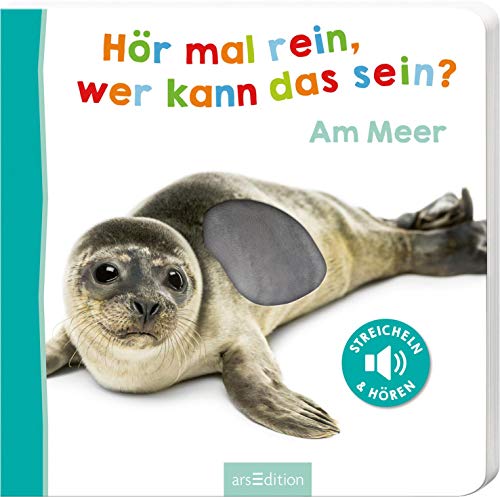 Hör mal rein, wer kann das sein? – Am Meer: Streicheln und hören | Hochwertiges Pappbilderbuch mit 5 Sounds und Fühlelementen für Kinder ab 18 Monaten von Ars Edition