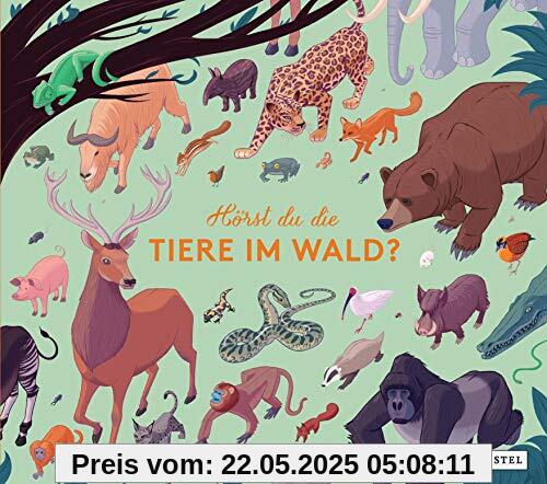 Hörst du die Tiere im Wald?: Stimmen und Geräusche des Waldes auf 10 Sound-Modulen (Prestel junior Sound-Bücher, Band 5)