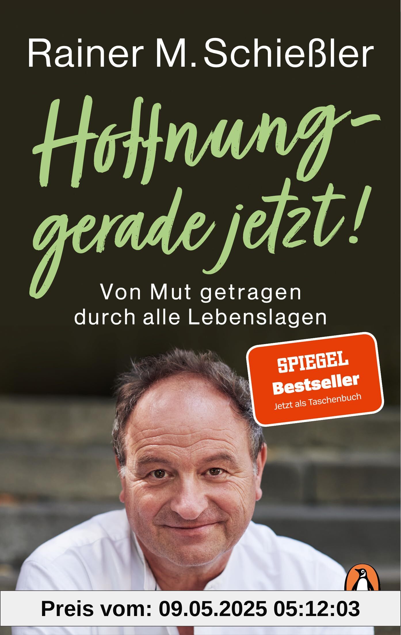 Hoffnung – gerade jetzt!: Von Mut getragen durch alle Lebenslagen (Rainer M. Schießler, Band 2)