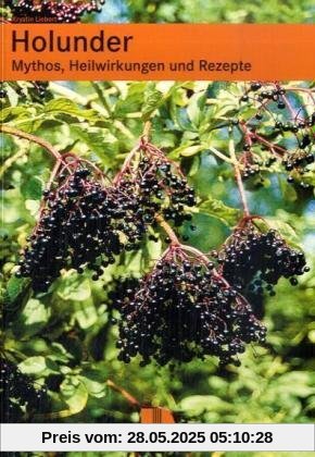 Holunder: Mythos, Heilwirkungen und Rezepte Holunder: Mythos, Heilwirkungen und Rezepte
