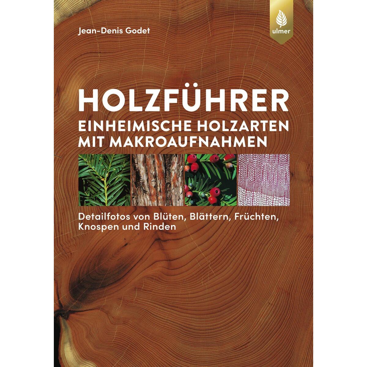 Holzführer Holzführer von Ulmer Eugen Verlag