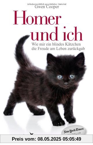 Homer und ich: Wie mir ein blindes Kätzchen die Freude am Leben zurückgab