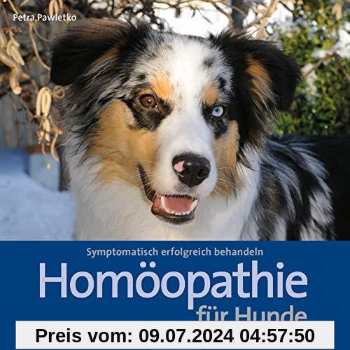 Homöopathie für Hunde: Symptomatisch erfolgreich behandeln