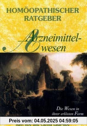 Homöopathische Ratgeber: Homöopathischer Ratgeber Arzneimittelwesen: Nr 22