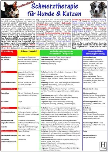 Homöopathische Schmerztherapie für Hunde & Katzen