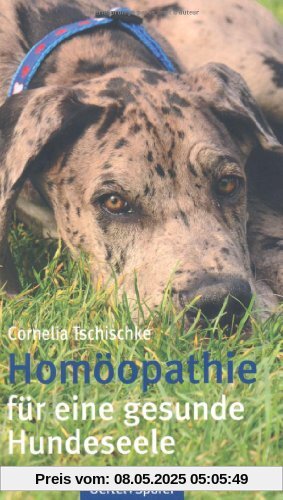 Homoöpathie für eine gesunde Hundeseele