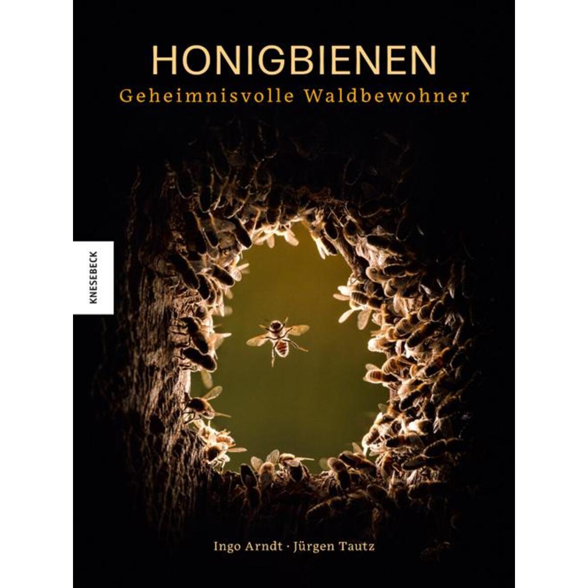 Honigbienen von Knesebeck