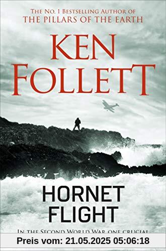 Hornet Flight