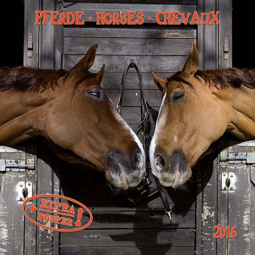 Horses/Pferde 2024: Kalender 2024 (Artwork Edition)