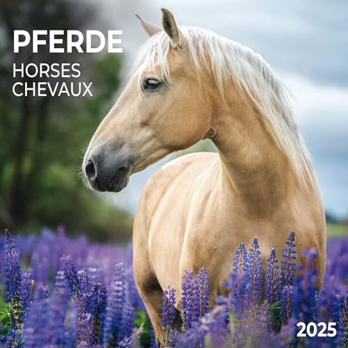 Horses/Pferde 2025: Kalender 2025 (Artwork Edition)