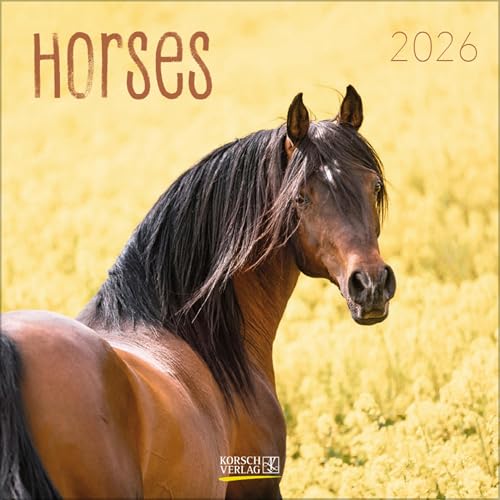 Horses 2026: Broschürenkalender mit Ferienterminen. Pferde und Ponys. 30 x 30 cm Horses 2026: Broschürenkalender mit Ferienterminen. Pferde und Ponys. 30 x 30 cm von Korsch Verlag