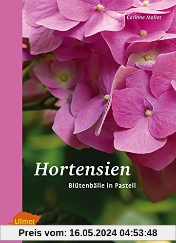 Hortensien: Blütenbälle in Pastell