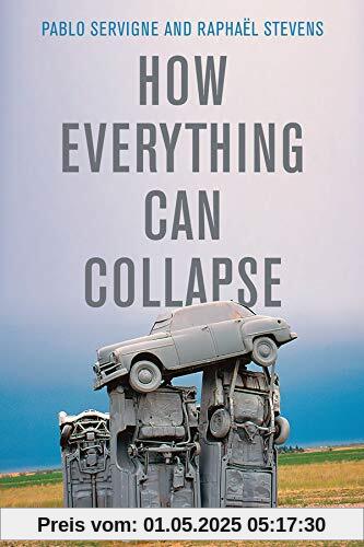 How Everything Can Collapse: A Manual for our Times